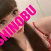 ヒメ日記 2025/10/30 09:58 投稿 シノブ ルパン