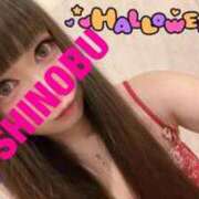 ヒメ日記 2025/10/31 10:23 投稿 シノブ ルパン