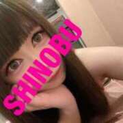 ヒメ日記 2025/11/02 10:53 投稿 シノブ ルパン