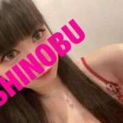 ヒメ日記 2025/11/14 11:02 投稿 シノブ ルパン