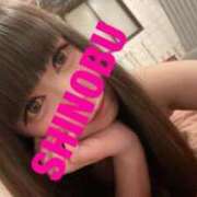 ヒメ日記 2025/11/16 11:17 投稿 シノブ ルパン