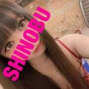 ヒメ日記 2025/11/20 11:18 投稿 シノブ ルパン