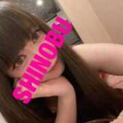 ヒメ日記 2025/11/23 11:02 投稿 シノブ ルパン