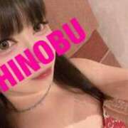 ヒメ日記 2025/11/24 10:26 投稿 シノブ ルパン