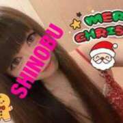 ヒメ日記 2025/12/25 11:27 投稿 シノブ ルパン