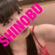 シノブ 出勤?? ルパン