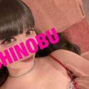 シノブ 出勤?? ルパン