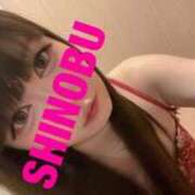 シノブ 出勤?? ルパン