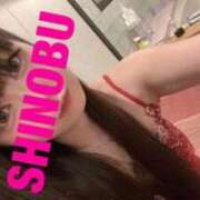 ヒメ日記 2026/01/18 11:02 投稿 シノブ ルパン