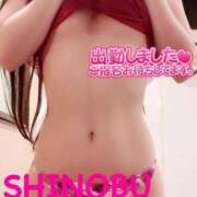 ヒメ日記 2026/01/28 10:48 投稿 シノブ ルパン