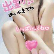 ヒメ日記 2026/03/03 11:42 投稿 シノブ ルパン