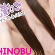 シノブ 出勤！！！ ルパン