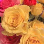 あすか 1月28日㈫お休みをいただきます 激安ドットコム