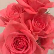 あすか 1月29日㈬お休みをいただきます 激安ドットコム