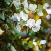 ヒメ日記 2026/03/11 14:46 投稿 あすか 激安ドットコム