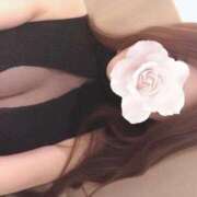 ヒメ日記 2025/10/18 09:57 投稿 美神 夢愛 バルボラ マリン