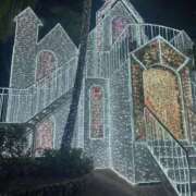 ヒメ日記 2026/02/04 19:18 投稿 せいら★Ｇカッププレミア看板娘 BEPPIN SELECTION ～べっぴんセレクション～