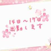 ヒメ日記 2025/04/14 09:52 投稿 なな 素人専門デリバリー　CUTE(キュート)　山口市発