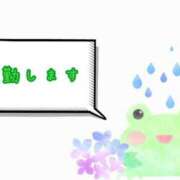 ヒメ日記 2025/06/13 09:26 投稿 なな 素人専門デリバリー　CUTE(キュート)　山口市発