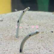 ヒメ日記 2026/03/04 14:33 投稿 雪野 モアグループ大宮人妻花壇