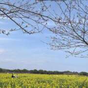 ヒメ日記 2025/04/04 16:01 投稿 りんか☆極上の美熟女 ママらんど 宮崎店