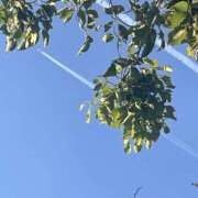 ヒメ日記 2025/05/04 11:31 投稿 りんか☆極上の美熟女 ママらんど 宮崎店