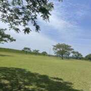 ヒメ日記 2025/05/10 20:41 投稿 りんか☆極上の美熟女 ママらんど 宮崎店