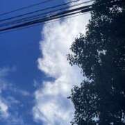 ヒメ日記 2025/08/20 08:31 投稿 りんか☆極上の美熟女 ママらんど 宮崎店