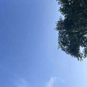 ヒメ日記 2025/09/06 08:41 投稿 りんか☆極上の美熟女 ママらんど 宮崎店