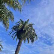 ヒメ日記 2026/01/02 08:51 投稿 りんか☆極上の美熟女 ママらんど 宮崎店