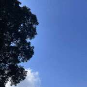 ヒメ日記 2026/01/24 15:21 投稿 りんか☆極上の美熟女 ママらんど 宮崎店