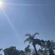 ヒメ日記 2026/02/19 14:21 投稿 りんか☆極上の美熟女 ママらんど 宮崎店