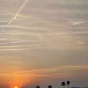 ヒメ日記 2026/03/01 23:31 投稿 りんか☆極上の美熟女 ママらんど 宮崎店