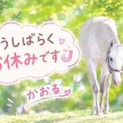 ヒメ日記 2026/10/12 15:08 投稿 かおる 甘熟クラブ