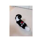 ヒメ日記 2025/08/31 20:13 投稿 りり ゴールドクイーン