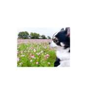 ヒメ日記 2025/09/28 08:56 投稿 りり ゴールドクイーン