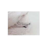 ヒメ日記 2025/11/04 20:13 投稿 りり ゴールドクイーン