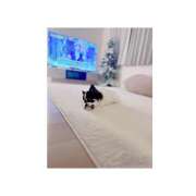 ヒメ日記 2025/12/01 17:57 投稿 りり ゴールドクイーン