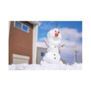 りり 2/7 ゴールドクイーン