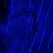 ヒメ日記 2024/12/07 17:03 投稿 一色 品川やすらぎ