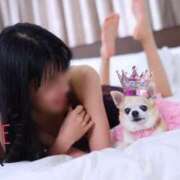 ヒメ日記 2025/02/20 18:03 投稿 一色 品川やすらぎ