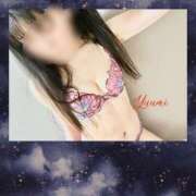 ヒメ日記 2025/05/22 18:01 投稿 一色 品川やすらぎ