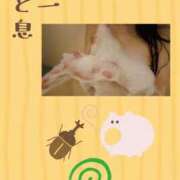 ヒメ日記 2025/07/17 18:05 投稿 一色 品川やすらぎ