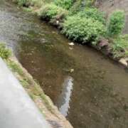 ヒメ日記 2025/11/12 20:25 投稿 一色 品川やすらぎ