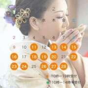 ヒメ日記 2025/01/28 14:05 投稿 西崎碧 プレジデントクラブ