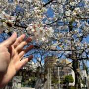 ヒメ日記 2025/04/05 16:59 投稿 西崎碧 プレジデントクラブ