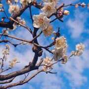 ヒメ日記 2025/02/24 11:21 投稿 まみ スイカ