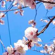 ヒメ日記 2025/03/10 11:21 投稿 まみ スイカ