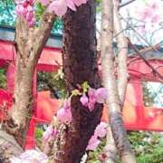 ヒメ日記 2025/03/31 11:21 投稿 まみ スイカ