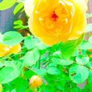 ヒメ日記 2025/05/05 09:41 投稿 まみ スイカ